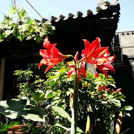 Pingyao Tian Yi Hostel Exteriér fotografie
